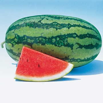 Park Seed Sweet Beauty Hybrid Watermelon Seeds  Includes 10 Seeds in a Pack