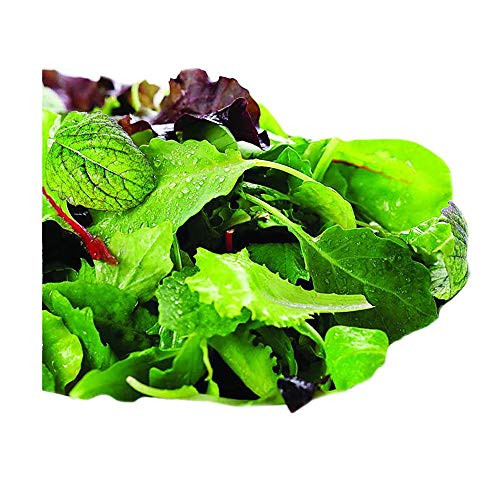 Park Seed Salad Bowl Mix Organic Greens Seeds  Includes 200 Seeds in a Pack