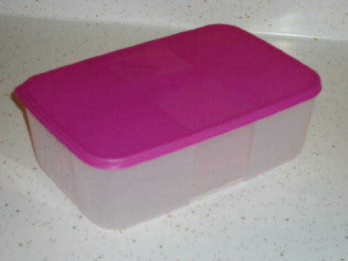 Tupperware Freezer Mate  2 Medium Container with Raspberry Seal
