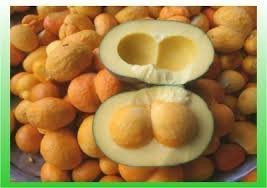 Pequi Oil - 4 Oz -Caryocar Braziliense- - Raw Unrefined Extra Virgin Wild-Harvested Organic