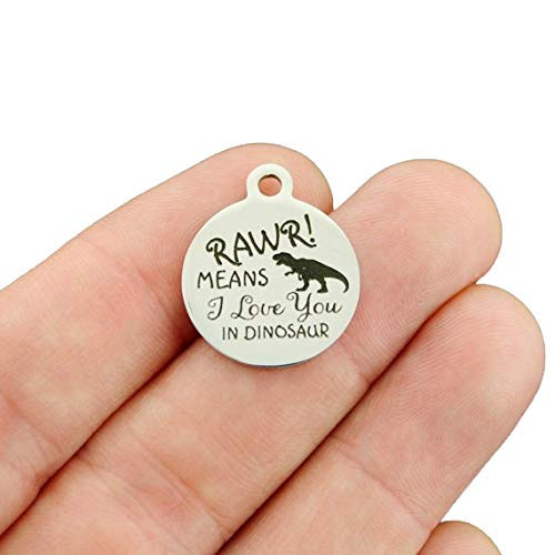 Dinosaur Stainless Steel Charms - Rawr! Means I Love You - Exclusive Line - Quantity Options - BFS4430
