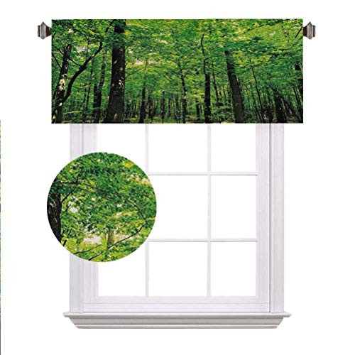 Nature Blackout Valances Woodland Tree Forest Jungle in Sunny Day Mother Earth Environment Picture Rod Pocket Window Treatment Tier for Boy Kids Master Bedroom 52x 12 inch Fern Green Seal Brown