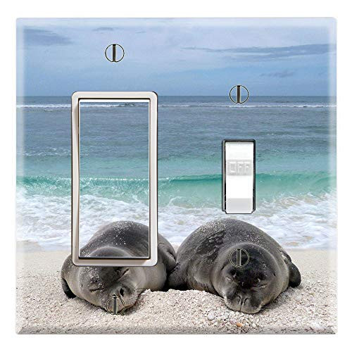 Graphics Wallplates - Hawaiian Monk Seal on the Beach - Rocker GFCI Toggle Combo Wall Plate Cover