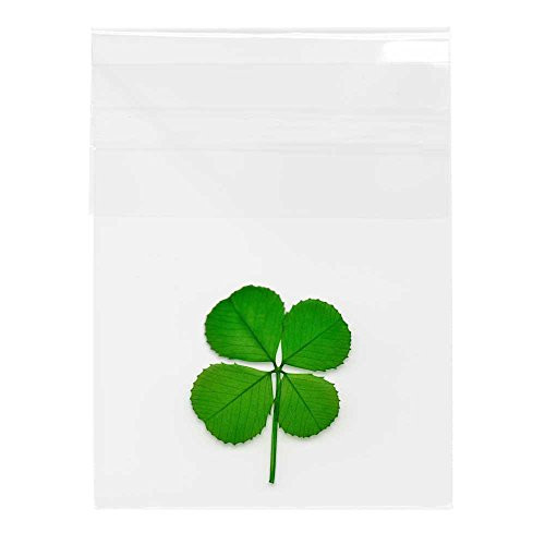 Clovers Online Genuine Preserved Four Leaf Clover in Cello Sleeve Clovers Online Genuine Preserved Four Leaf Clover in Cello Sleeve
