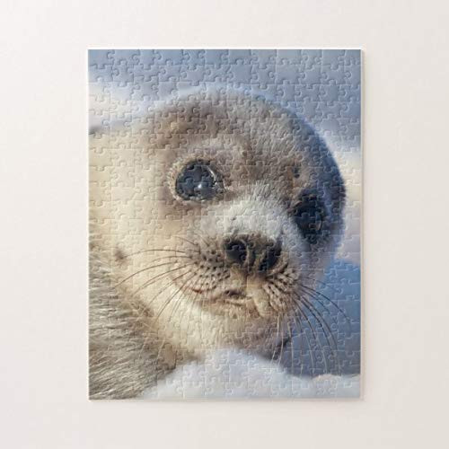 Young Harp Seal 500 Pieces Jigsaw Puzzle  Puzzles for Adults and Kids Jigsaw Puzzle Intellectual Decompressing Fun Family Game Toys