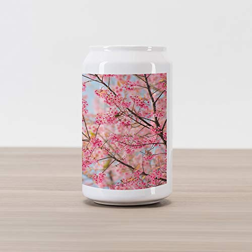 Ambesonne Floral Cola Can Shape Piggy Bank Japanese Sakura Cherry Blossom Branches Full of Spring Beauty Picture Ceramic Cola Shaped Coin Box Money Bank for Cash Saving Pale Pink Baby Blue Ambesonne Floral Cola Can Shape Piggy Bank Japanese Sakura Cherry Blossom Branches Full of Spring Beauty Picture Ceramic Cola Shaped Coin Box Money Bank for Cash Saving Pale Pink Baby Blue