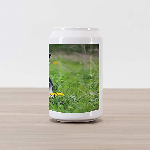 Ambesonne Alaskan Malamute Cola Can Shape Piggy Bank  Little Puppy Playing on Green Grass Spring Meadow Natural Life Outdoors  Ceramic Cola Shaped Coin Box Money Bank for Cash Saving  Multicolor