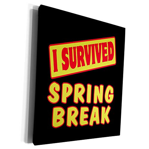 3dRose Dooni Designs Survive Sayings - I Survived Spring Break Survial Pride And Humor Design - Museum Grade Canvas Wrap -cw_118257_1-