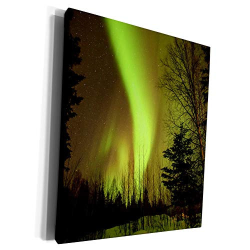 3dRose Danita Delimont - Jaynes Gallery - Northern Lights - USA Alaska Chena Hot Springs. View of aurora borealis and stars. - Museum Grade Canvas Wrap -cw_190890_1- 3dRose Danita Delimont - Jaynes Gallery - Northern Lights - USA Alaska Chena Hot Springs. View of aurora borealis and stars. - Museum Grade Canvas Wrap -cw_190890_1-