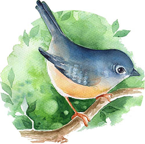 EW Designs Magnet Pretty Pastel Spring Watercolor Art Icon - Blue Bird Magnetic Vinyl Magnet Bumper Sticker -8 inch Wide-