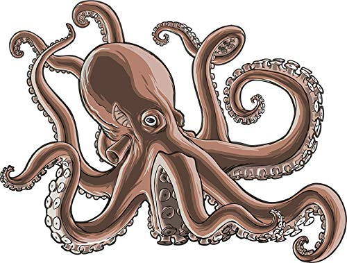 EW Designs Realistic Brown Octopus Squid Cartoon Vinyl Decal Bumper Sticker -8 inch Wide-