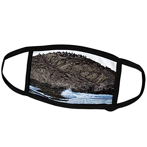 3dRose Boehm Photography Landscape - Seal Island - Face Covers -fc_127512_2- 3dRose Boehm Photography Landscape - Seal Island - Face Covers -fc_127512_2-