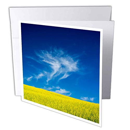 3dRose USA WA Palouse Region. Spring Canola Field - Greeting Cards -gc_333031_2- 3dRose USA WA Palouse Region. Spring Canola Field - Greeting Cards -gc_333031_2-