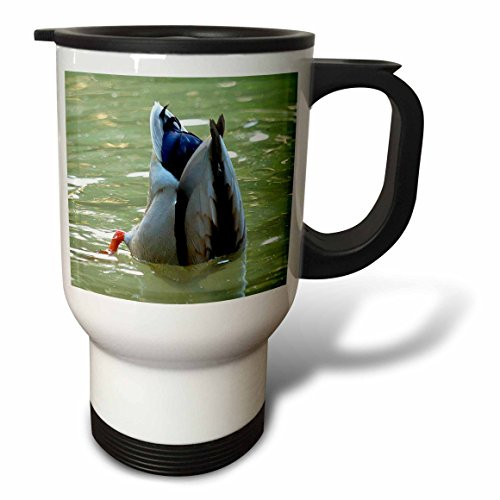 3dRose Waterfowl Ducks Travel Mug, 14-Ounce