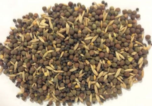 Spring Cover Crop Seed Mix  1 lb.