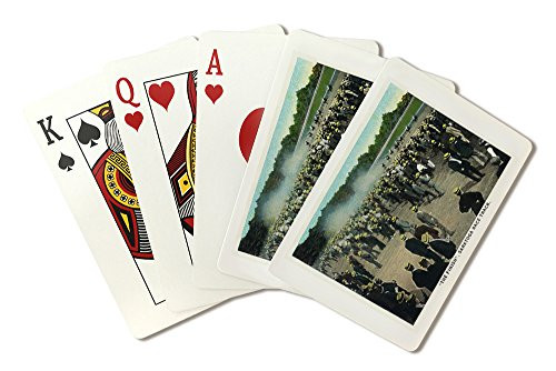 Saratoga Springs  New York - View of the   Finish   at the Saratoga Horse Race Track  Playing Card Deck - 52 Card Poker Size with Jokers