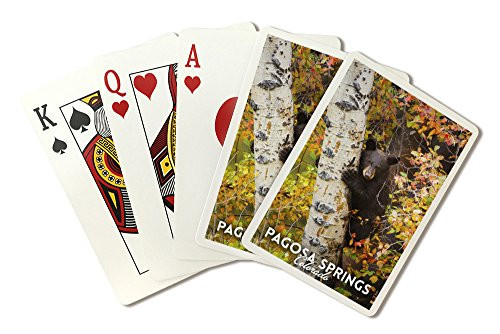 Pagosa Springs  Colorado - Bear Cub in Birch Tree  Playing Card Deck - 52 Card Poker Size with Jokers