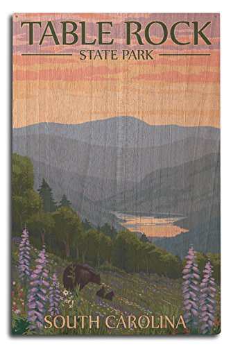 Lantern Press Table Rock State Park  South Carolina - Spring Flowers and Bear Family  10x15 Wood Wall Sign  Wall Decor Ready to Hang