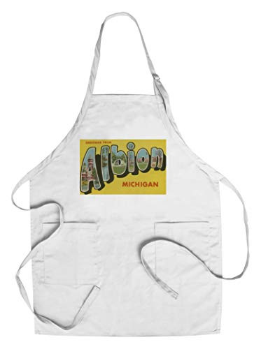 Albion  Michigan - Large Letter Scenes  Cotton Polyester Chef s Apron