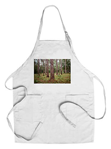 Florida - Pine Forest 9025128  Cotton Polyester Chef s Apron