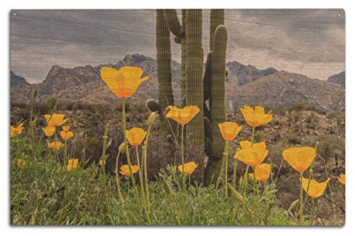 Lantern Press Tucson  Arizona - a Patch of Yellow Poppies in The Sonoran Desert in Spring 9032147  10x15 Wood Wall Sign  Wall Decor Ready to Hang