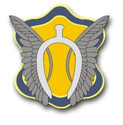 MAGNET United States Army 17th Cavalry Brigade Patch Decal Magnetic Sticker 5.5 inch