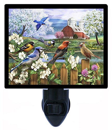 Night Light  Spring Gathering  Blue Jays  Cardinals  Fence  Birds