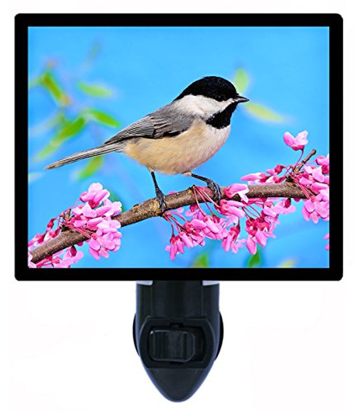Night Light  Spring Chickadee  Birds  Flowers LED Night Light