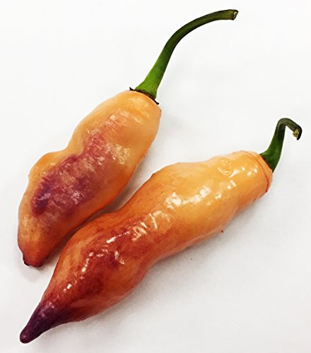 Pink Tiger Pepper Premium Seed Packet