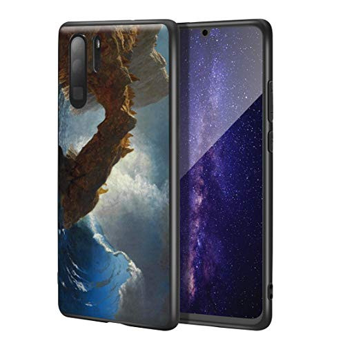 Albert Bierstadt for Huawei P30 Pro Case Art Cellphone Case Giclee UV Reproduction Print on Mobile Phone Cover Seals On The Rocks