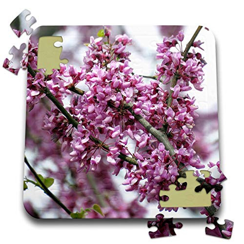 3dRose Jos Fauxtographee- Pink Floral Tree - A Pretty Pink Flowering Tree in Spring - 10x10 Inch Puzzle pzl_319601_2 3dRose Jos Fauxtographee- Pink Floral Tree - A Pretty Pink Flowering Tree in Spring - 10x10 Inch Puzzle pzl_319601_2