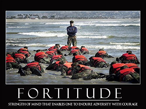 Motivational Poster Navy Seals Poster Inspirational Poster 18x24