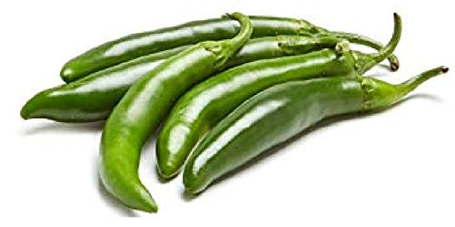 Sow No GMO Pepper Serrano Non GMO Heirloom Vegetable for Pickling  Salsa  Cheese Sauce  Mexican Cuisine 100 Seeds