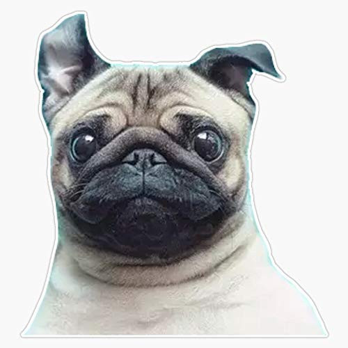 Pug Vinyl Waterproof Sticker Decal Car Laptop Wall Window Bumper Sticker 5 inch