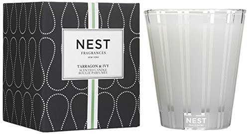 NEST Fragrances Classic Candle- Tarragon & Ivy , 8.1 oz