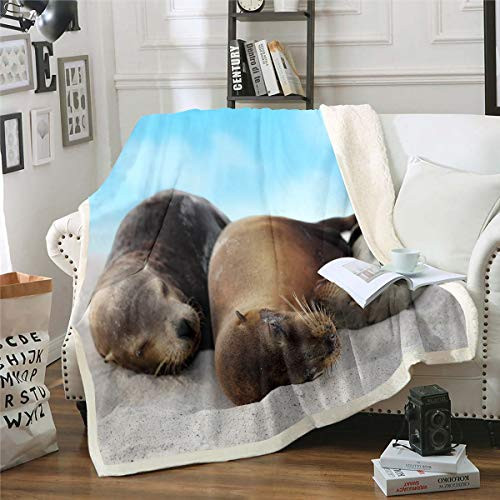 Seal Fleece Throw Blanket Beach Animal Themed Warm Plush Blanket for Sofa Couch Bed Cute Ocean Marine Creature Sherpa Blanket Lovely Sealife Fuzzy Blanket Room Decor Throw 50 inch x60 inch Seal Fleece Throw Blanket Beach Animal Themed Warm Plush Blanket for Sofa Couch Bed Cute Ocean Marine Creature Sherpa Blanket Lovely Sealife Fuzzy Blanket Room Decor Throw 50 inch x60 inch