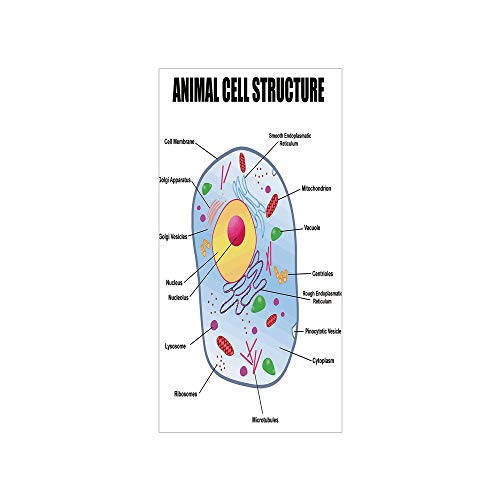 3D Decorative Film Privacy Window Film No Glue Educational Microbiology Theme Animal Cell Structure Genetic Research School Study Science Decorative Multicolor for Home and Office