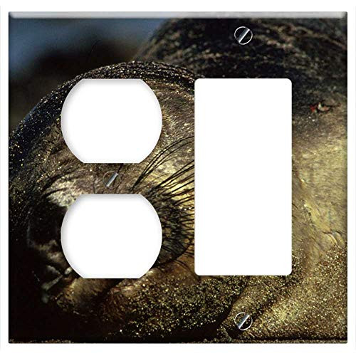 2-Gang  Outlet Rocker GFCI Combination Wall Plate Cover - Northern Elephant Seal Animal Wildlife Cute