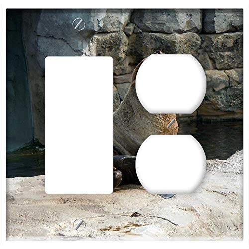 2-Gang Rocker GFCI Outlet Combination Wall Plate Cover - Fur Seal Aquatic Animal Sitting 2-Gang Rocker GFCI Outlet Combination Wall Plate Cover - Fur Seal Aquatic Animal Sitting
