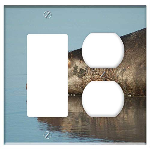 2-Gang  Rocker GFCI Outlet Combination Wall Plate Cover - Elephant Seal Mammal Beach Sea Ocean Water Laying