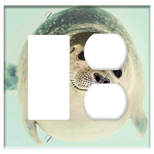 2-Gang Rocker GFCI Outlet Combination Wall Plate Cover - Seal Mammal Cute Marine Life Ocean Nature Animal 2-Gang Rocker GFCI Outlet Combination Wall Plate Cover - Seal Mammal Cute Marine Life Ocean Nature Animal