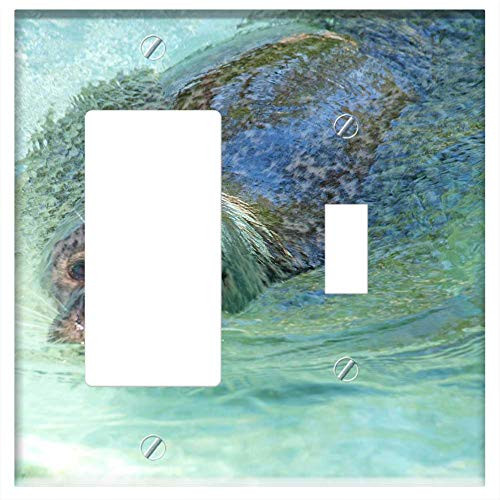 Rocker GFCI Toggle Combination Wall Plate Cover - Seal Seals North Sea Nordfriesland Sea Beach Dune Rocker GFCI Toggle Combination Wall Plate Cover - Seal Seals North Sea Nordfriesland Sea Beach Dune