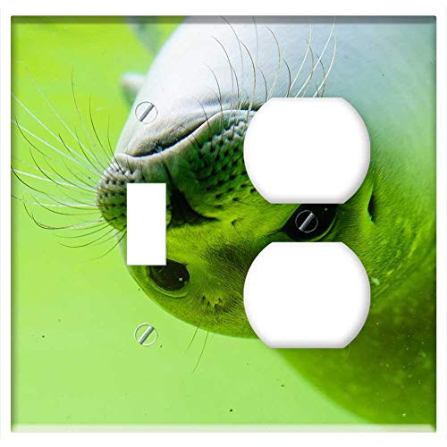 2-Gang  Toggle Outlet Combination Wall Plate Cover - Crawl Seal North Sea White Robbe Seal Baby Swim