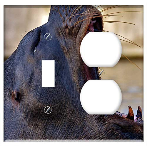 2-Gang  Toggle Outlet Combination Wall Plate Cover - Seal Sea Lion Swim Water Robbe Meeresbewohner 4