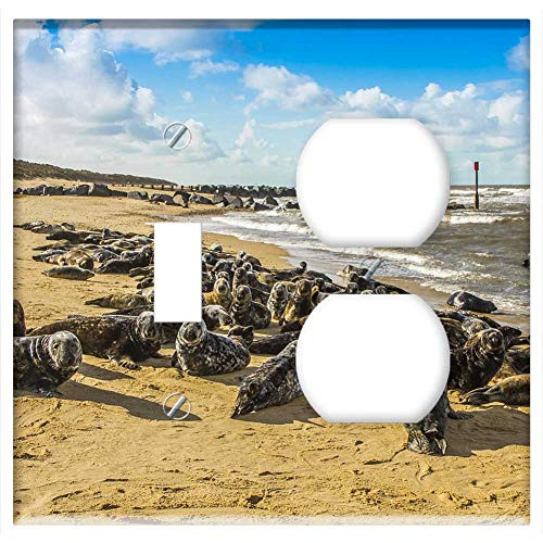 2-Gang  Toggle Outlet Combination Wall Plate Cover - Seals Beach North Sea England