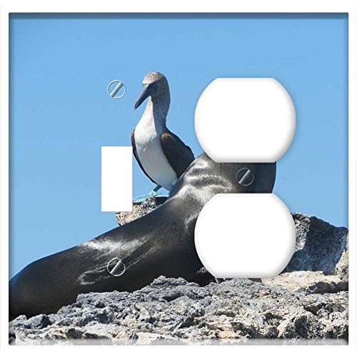 2-Gang Toggle Outlet Combination Wall Plate Cover - Seal Blue Footed Booby Bird Avian Animal Mammal 2-Gang Toggle Outlet Combination Wall Plate Cover - Seal Blue Footed Booby Bird Avian Animal Mammal