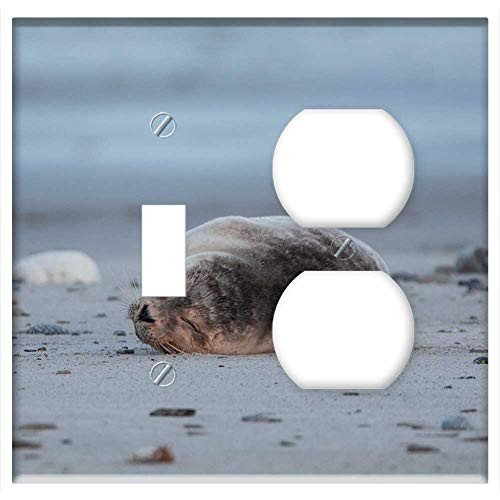 2-Gang  Toggle Outlet Combination Wall Plate Cover - Robbe Grey Seal Helgoland Dune Sand Beach Nature 2