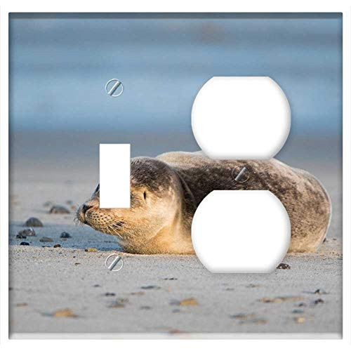 2-Gang  Toggle Outlet Combination Wall Plate Cover - Robbe Grey Seal Helgoland Dune Sand Beach Nature 4