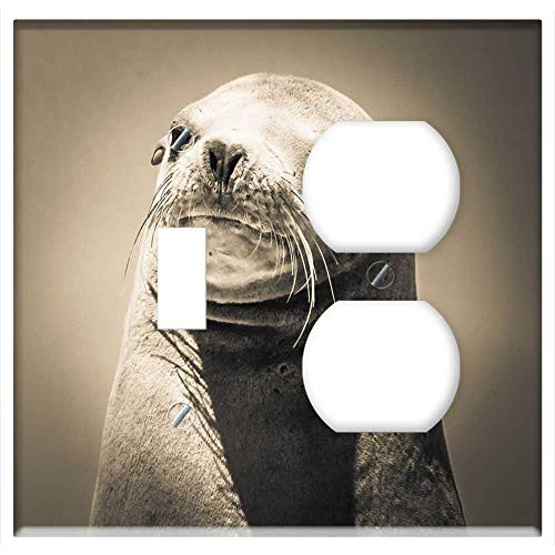 2-Gang Toggle Outlet Combination Wall Plate Cover - Seal Portrait Whiskers Animal Mammal Elegant 2-Gang Toggle Outlet Combination Wall Plate Cover - Seal Portrait Whiskers Animal Mammal Elegant