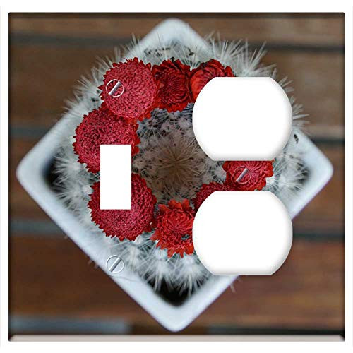 2-Gang  Toggle Outlet Combination Wall Plate Cover - Cactus Succulent Plant Red Flourished Spring